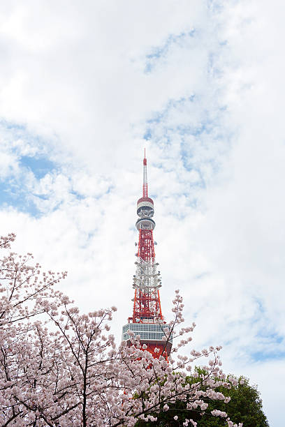 istock Tokyo Tower with sakura blossoms surrounded 627460640