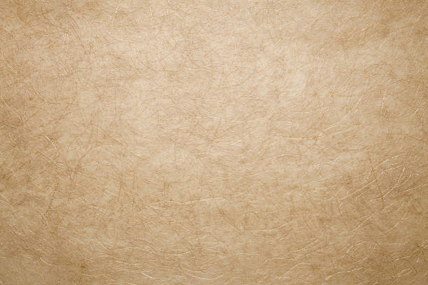 istock Fiber Japanese paper 627461948