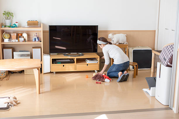 Women cleaning the living room stock photo