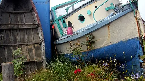 Colorful stranded boat surrounded with flowers in Bodega Bay, CA. 
