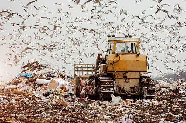istock Man driving a garbage truck on a landfill 627471942