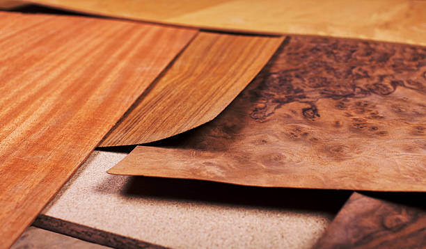 wood texture exotic - stock image stock photo