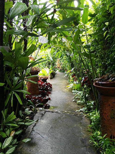 istock beautiful garden indoor 627472948