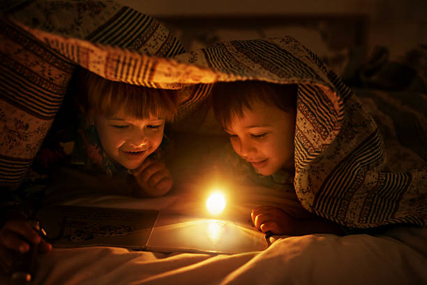 istock Brothers are friends for life 627477070
