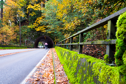 The road passing through the semi-circular arched tunnel in which cyclists enter and exit vehicles laid in the rock in the autumn forest with yellow trees and covered with bright green moss with the bridge railing and fallen leaves