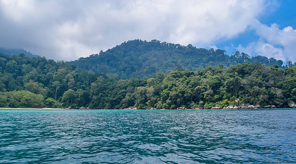 istock Tioman island in Malaysia. Tropical paradise 627488952