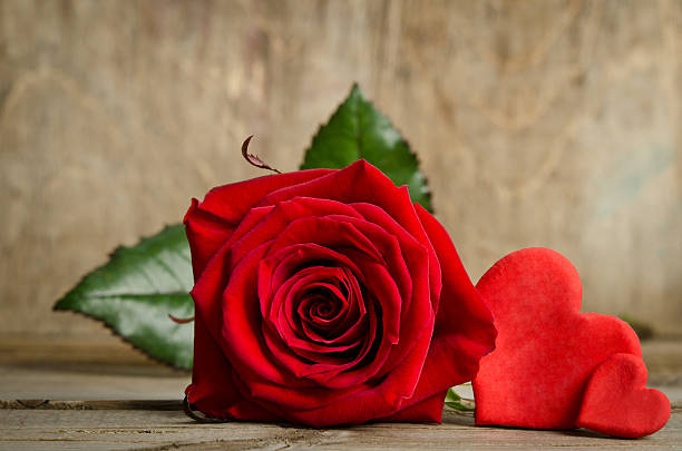 istock Red rose with handemade valentines around 627491832