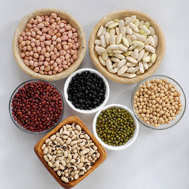 istock Collection of bean on white background 627500646