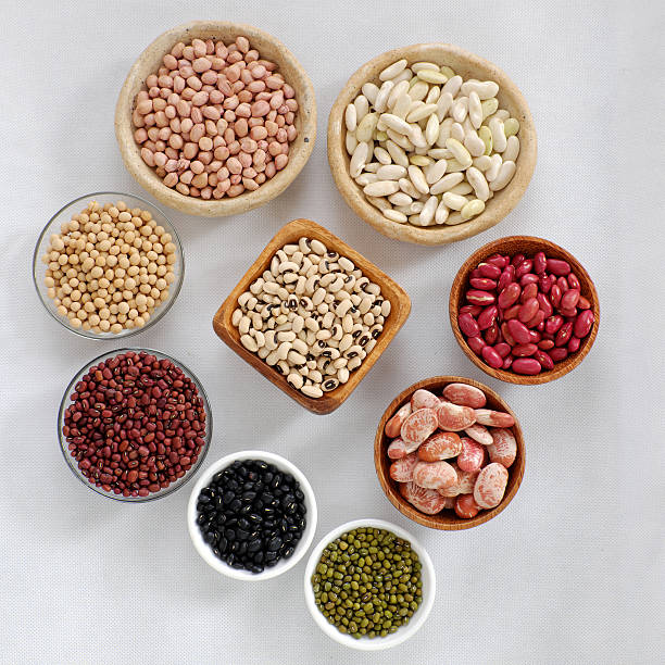 istock Collection of bean on white background 627502050