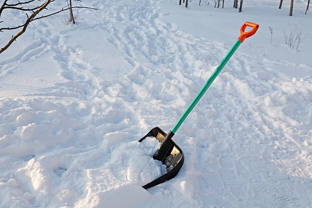 istock shovel for snow cleaning sticks out in a snowdrift 627502244