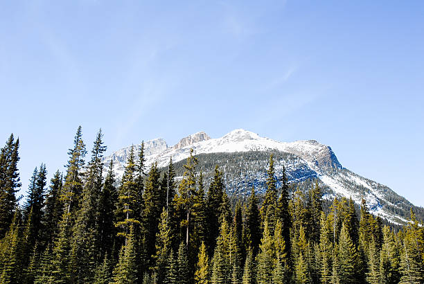 istock Mountain Range in Kootenay, Canadian Rockies 627502702
