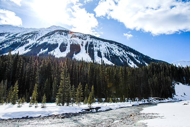 istock River and Mountain Range in Kootenay, Canadian Rockies 627503316