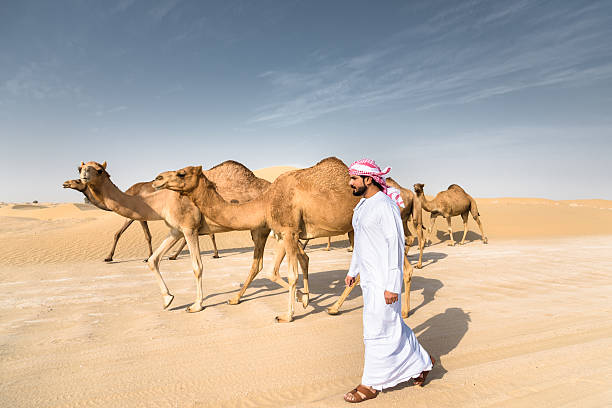 낙타와 함께 걷는 사막에 아랍어 sheik - desert men mid adult men looking at camera 뉴스 사진 이미지