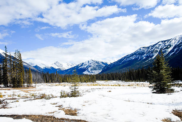 istock River and Mountain Range in Kootenay, Canadian Rockies 627521372