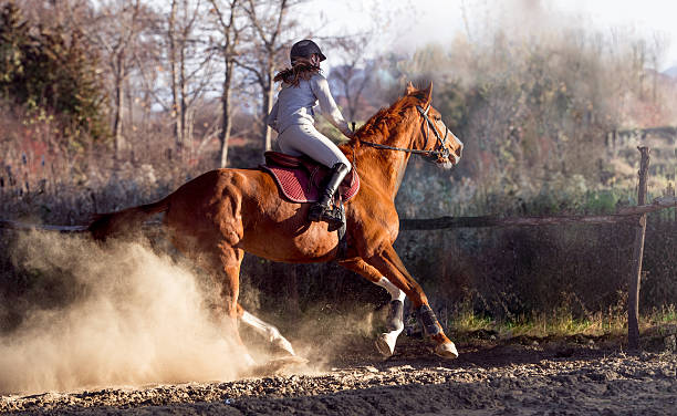 istock Young girl riding a horse 627521392