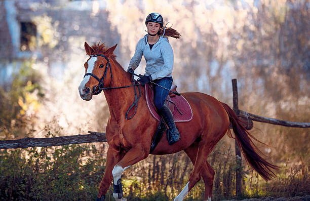 istock Young girl riding a horse 627522170