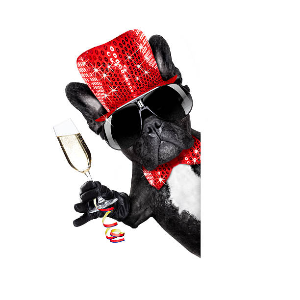 istock happy new year dog celberation 627539782