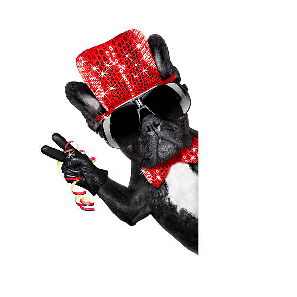 istock happy new year dog celberation 627539838