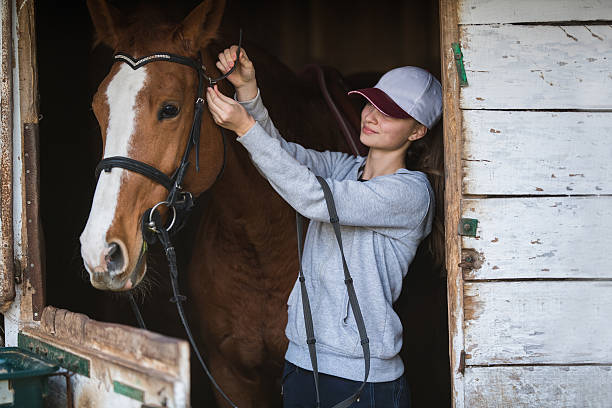 istock Pretty girl with horse 627540284