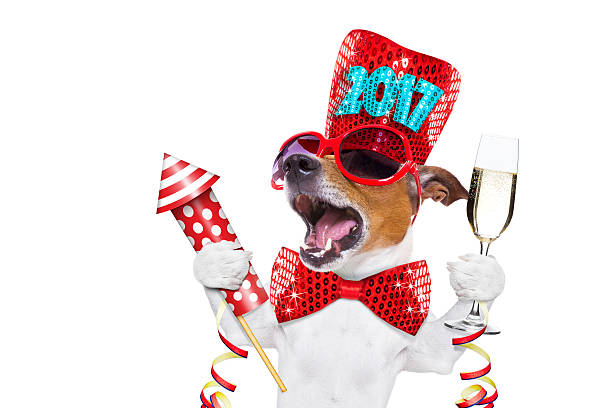 istock happy new year dog celberation 627540826