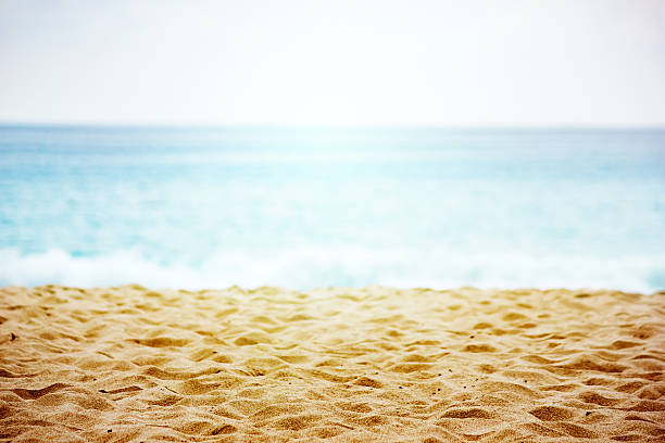 istock Beach landscape with sand texture close-up 627541424