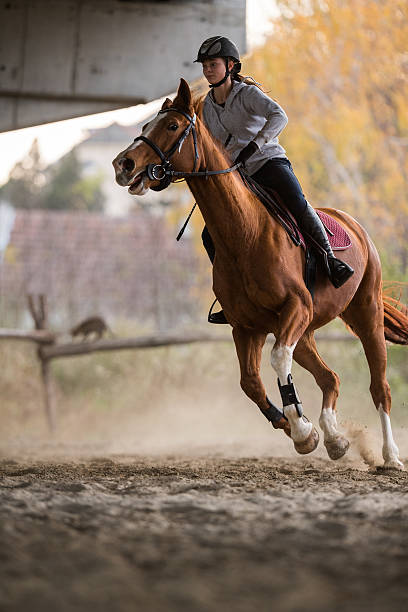 istock Young girl riding a horse 627541478