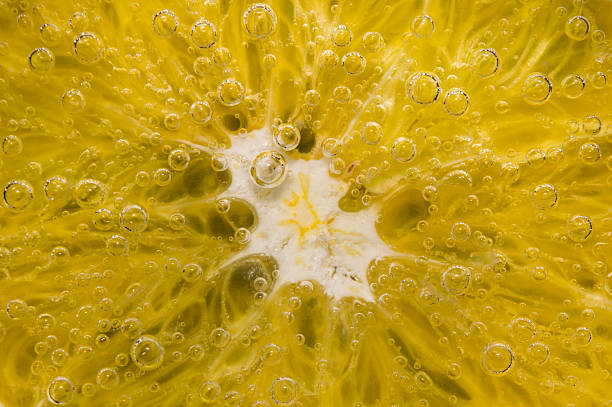 istock Lemon Slice in Clear Fizzy Water Bubble Background 627556900