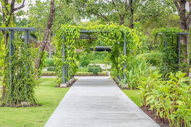 istock Walkway in the garden 627559376