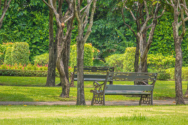 istock Metal Bench in the garden 627576224