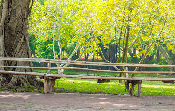 istock Bamboo Bench in the garden 627581606