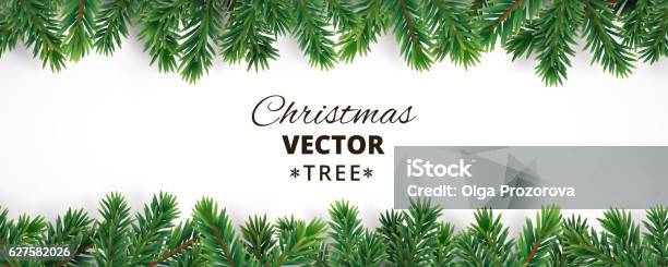 Banner With Vector Christmas Tree Branches And Space For Text Stock Illustration - Download Image Now