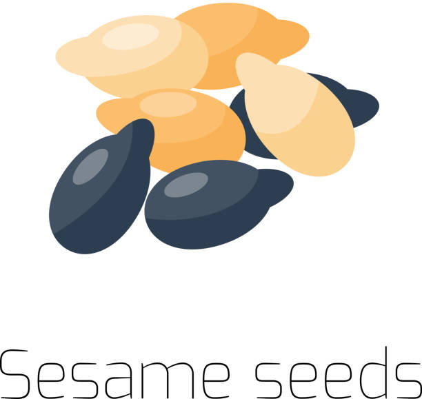 �семена кунжута на белом фоне. макрос - sesame black seed white background stock illustrations