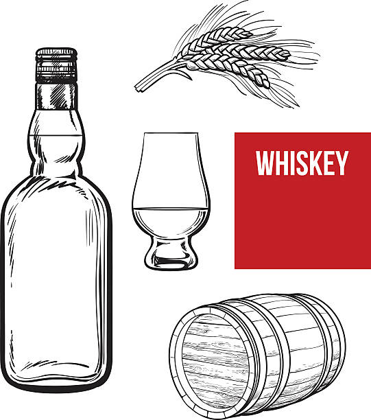 ilustraciones, imágenes clip art, dibujos animados e iconos de stock de botella de whisky y vidrio de mano agarrado completo - malt white background alcohol drink