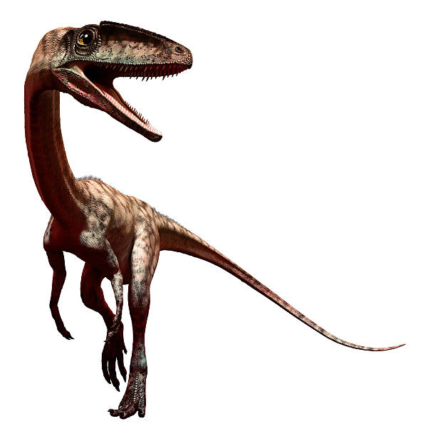 Dinosaurios 3d - Banco de fotos e imágenes de stock - iStock Dinosaurios 3d - Banco de fotos e imágenes de stock - iStock