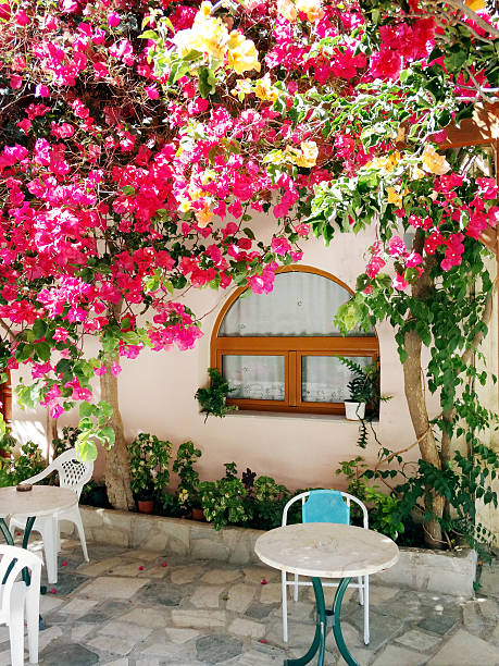 istock luxury hotel building balcony and terrace santorini Greece 627583780