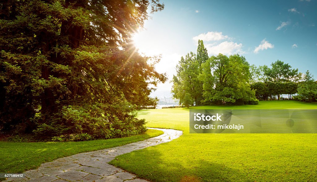 Schönes Panorama des grünen Stadtparks im Morgengrauen - Lizenzfrei Parkanlage Stock-Foto