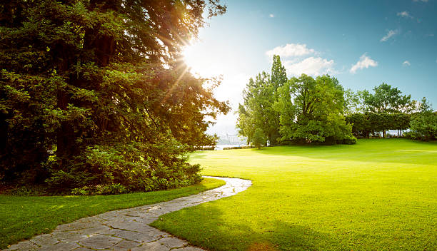 schönes panorama des grünen stadtparks im morgengrauen - garten stock-fotos und bilder