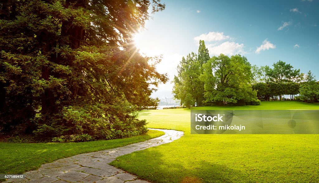 Hermoso panorama del verde parque de la ciudad al amanecer - Foto de stock de Parque público libre de derechos