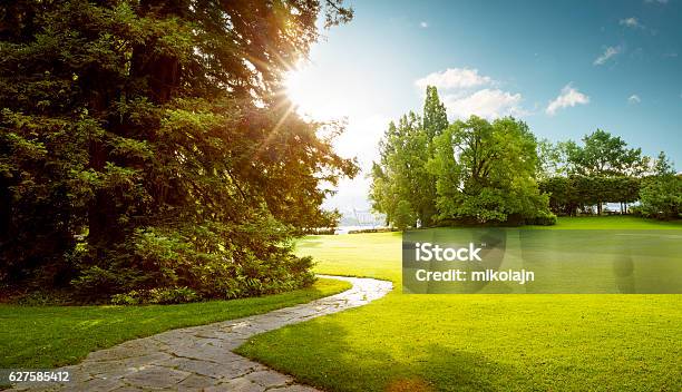 Beautiful Panorama Of Green City Park At Dawn Stock Photo - Download Image Now - Public Park, Yard - Grounds, City