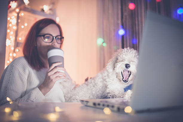 istock People, pets and love for animals. 627585446