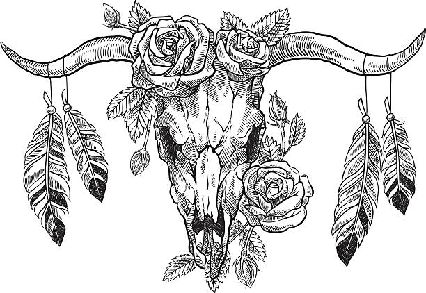 bull skull with roses on her head, and with feathers bull skull with roses on her head, and with feathers hanging from the horns. Graphic illustration technique, linework animal skull cow bull horned stock illustrations