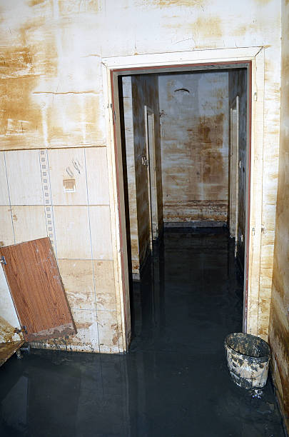 istock Destroyed home after flood disaster 627625608