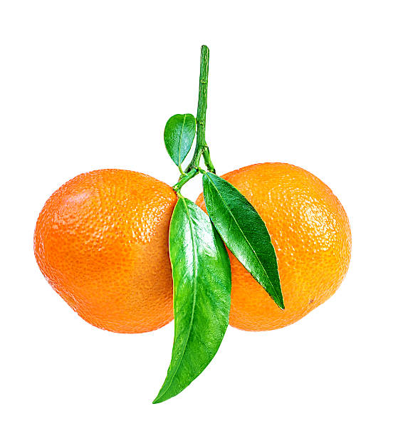 istock tangerine or mandarin fruit isolated on white 627626916