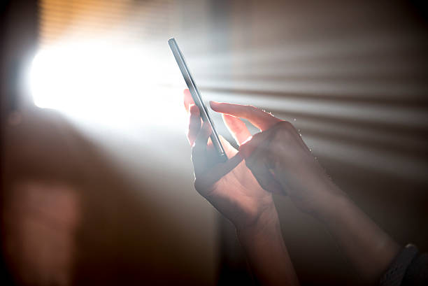 istock Morning sunshine and woman using smartphone at home 627627650