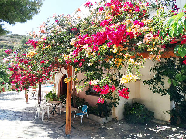 istock luxury hotel building balcony and terrace santorini Greece 627628696