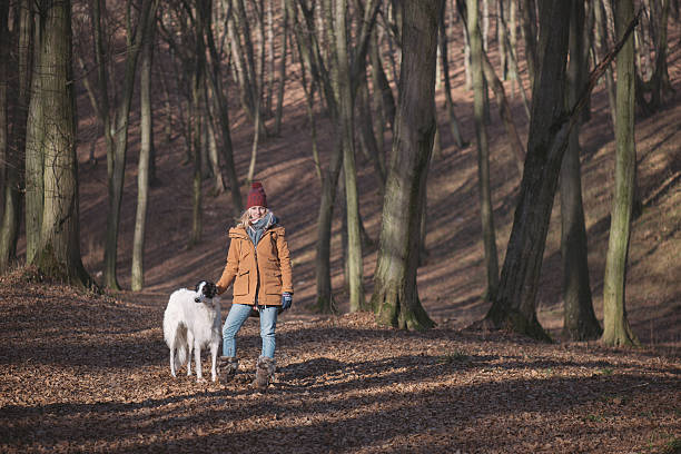 istock Woman playing with dog outdoor 627661608