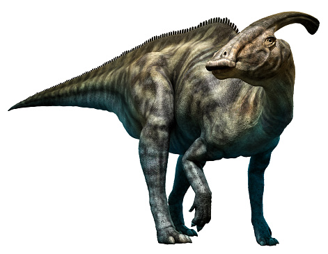 Parasaurolophus walkeri 3D illustration