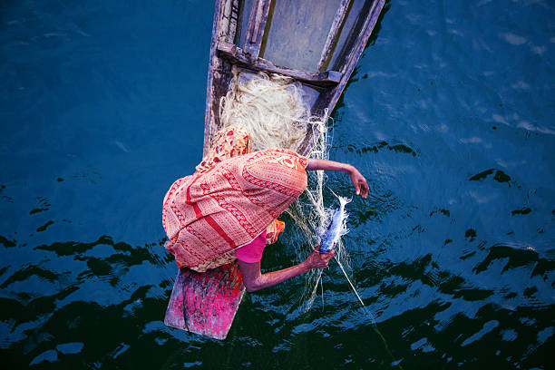 Fishing, Bangladesh Fishing, Bangladesh bangladesh photos stock pictures, royalty-free photos & images