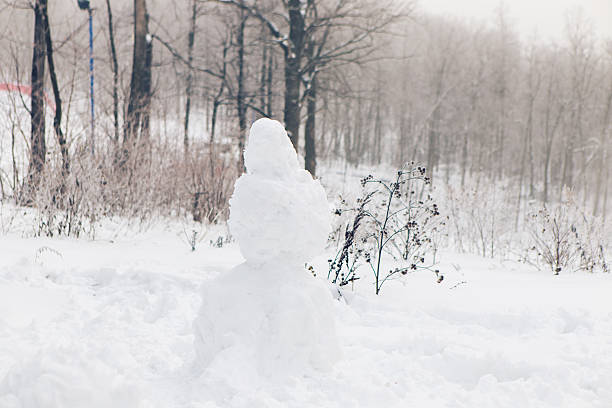 istock Snowman standing in winter landscape 627670812