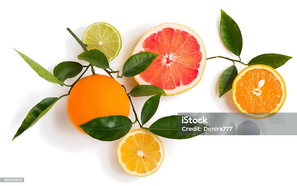 Different  citrus fruits on a twig. Top view of branch of citrus tree with lime, lemon, grapefruit and orange fruits isolated on white background. Citrus Fruit Stock Photo